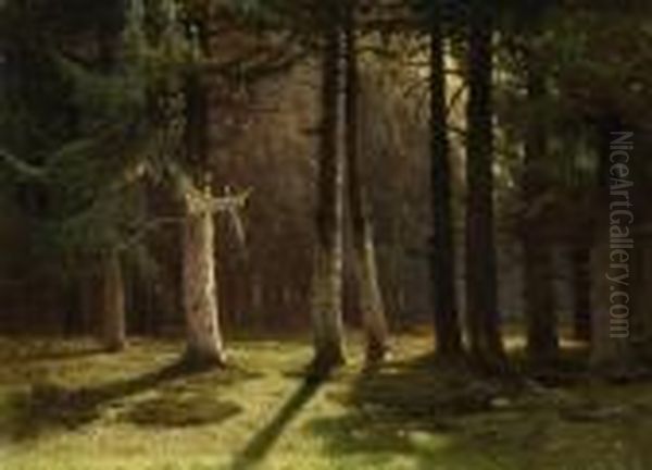 Sunlight In The Evergreen Forest Oil Painting by Arsenii Ivanovich Meshcherskii