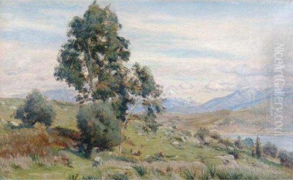 Paisaje Oil Painting by Felix Mestres Borrell