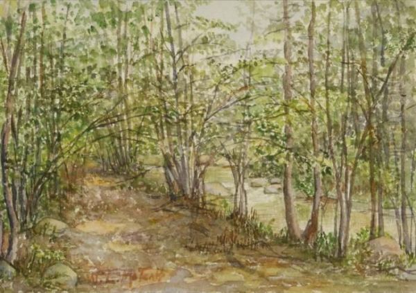 Path Along A Stream Through The Woods Oil Painting by Willard Leroy Metcalf