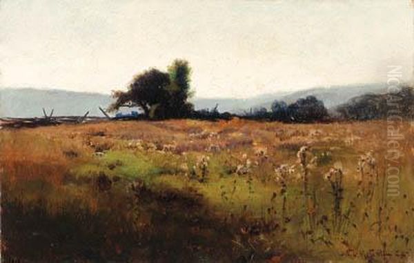 Mountain View From High Field Oil Painting by Willard Leroy Metcalf