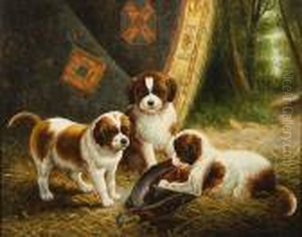 A Study Of St Bernard Puppies Oil Painting by Gabriel Metsu