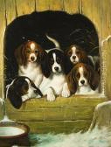 Beagle Puppies Oil Painting by Gabriel Metsu