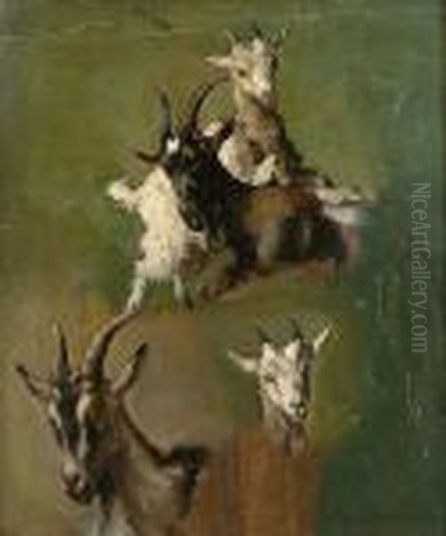 Studies Of Goats Oil Painting by Paul Friedrich Meyerheim