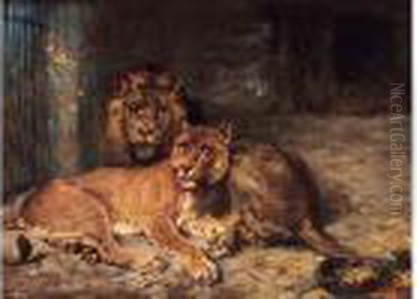 < Lion Et Lionne >. Oil Painting by Paul Friedrich Meyerheim