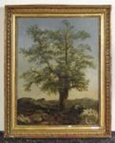 Baum In Landschaft. Oil Painting by Achille-Etna Michallon