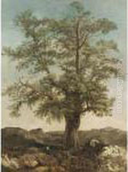 Study Of A Tree Oil Painting by Achille-Etna Michallon