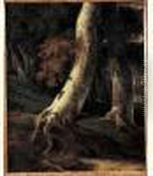 Tronc D'arbre Dans Un Sous-bois, D'apres Ruisdael Oil Painting by Achille-Etna Michallon