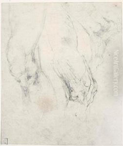 Study Of A Left Thigh And Knee, 
With A Separate Study Of A Right Knee Seen In Profile, And A Right Foot Oil Painting by Michelangelo