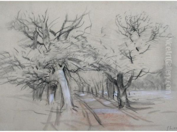 An Avenue Of Trees; Trees By A Riverside Oil Painting by John Middleton