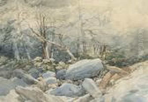 A Rocky Stream Running Through A Wood Oil Painting by John Middleton