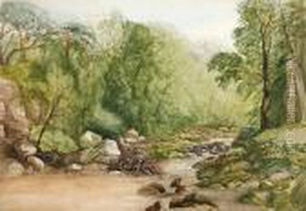 A Wooded Upland Stream Oil Painting by John Middleton