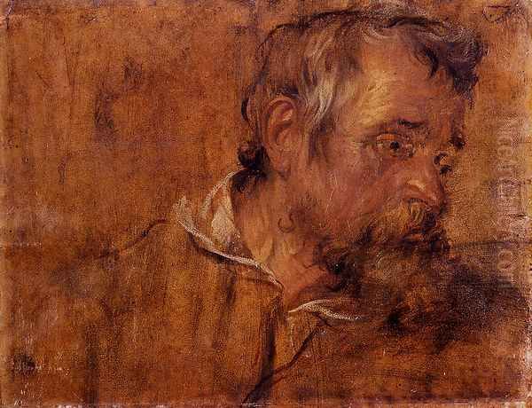 Profile Study Of A Bearded Old Man Oil Painting by Sir Anthony Van Dyck