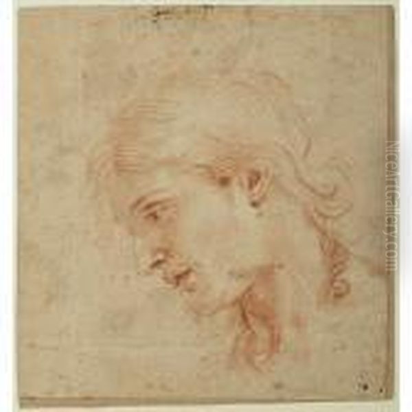 Etude De Tete [nicolas Mignard Called Mignard D'avignon ; Study Of A Head ; Red Chalk] Oil Painting by Nicolas Mignard