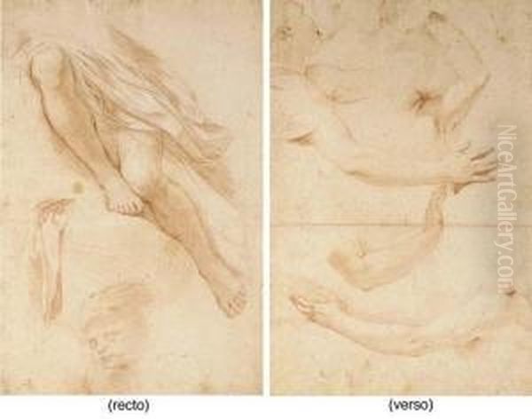 Studies Of Legs, A Drapery And 
The Head Of A Putto (recto); Studies Of Arms And A Head (verso) Oil Painting by Nicolas Mignard