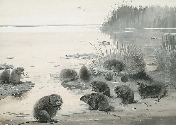 Water Voles Oil Painting by John Guille Millais