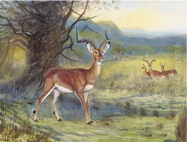 Impala And Giraffe Oil Painting by John Guille Millais