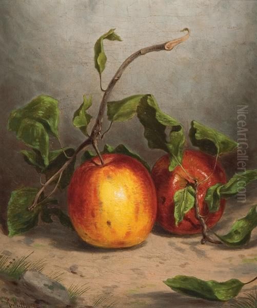 Still Life With Apples Oil Painting by William Rickarby Miller