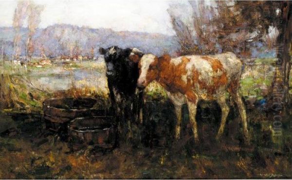 The Young Calves Oil Painting by William Watt Milne