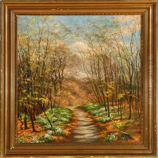 A Spring Forest With Anemones In Bloom Oil Painting by Carl Milton Jensen