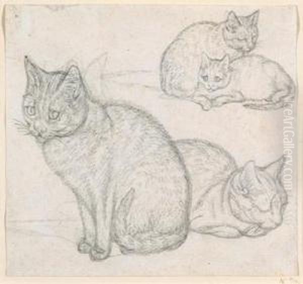 A Double Sketch Of Two Cats Oil Painting by Gottfried Mind