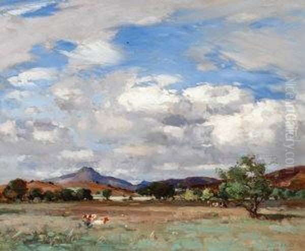 Ben Lomond From Kippen Oil Painting by John Campbell Mitchell