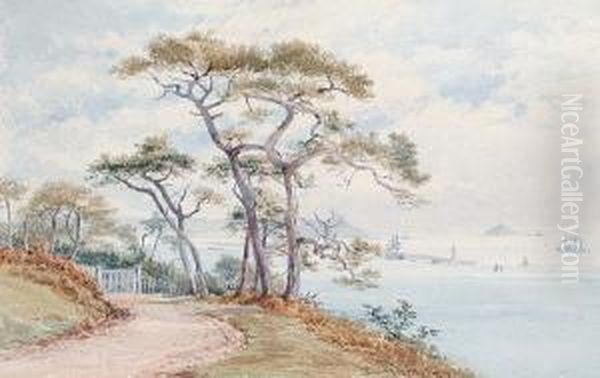 View From The Earl's Ride In Mount Edgcombe Across Plymouth Sound Oil Painting by Philip Mitchell