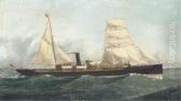 The Auxiliary Steamer Ardlethen Of Aberdeen Oil Painting by John Henry Mohrmann