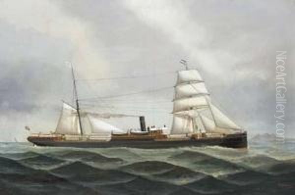 The British-registered Steamer Anglo-indian Outward Bound Forargentina Oil Painting by John Henry Mohrmann