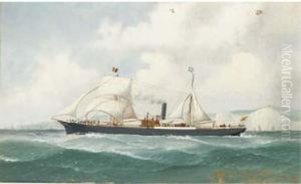 The Spanish Auxiliary Steamer Gravina Bound For A Belgianport Oil Painting by John Henry Mohrmann