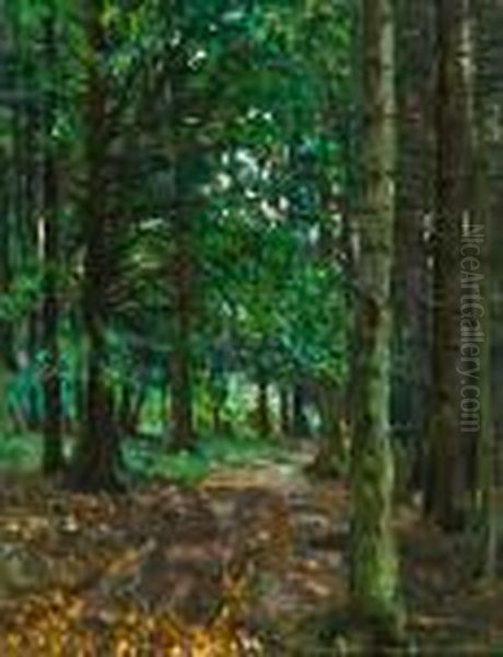 Buchenhochwald. Oil Painting by Oskar Moll