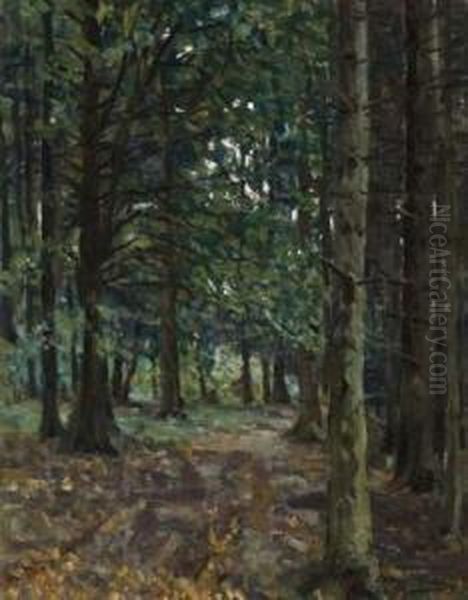 Buchenhochwald Oil Painting by Oskar Moll