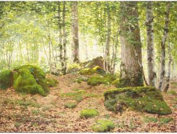 Forest At Fontainbleau Oil Painting by Jean Ferdinand Monchablon