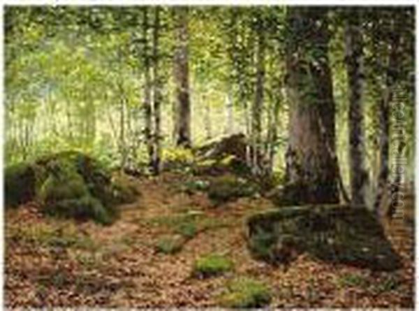 Woodland Landscape, Signed And Dated 1885, Oil On Canvas, 53 X 71 Cm.; 21 X 28 In Oil Painting by Jean Ferdinand Monchablon