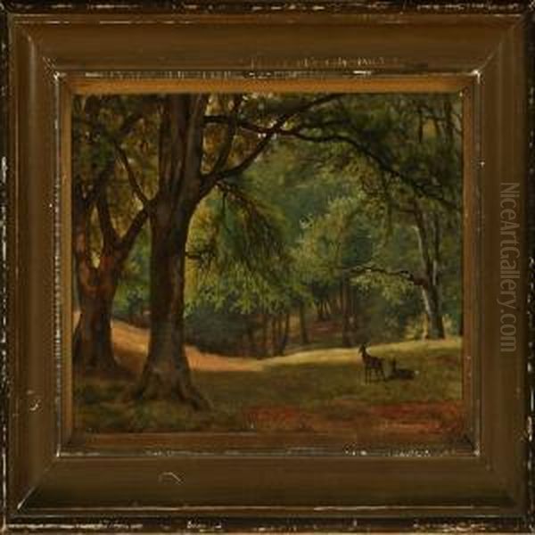 Forest Scenery With Two Deer In A Glade Oil Painting by David Monies