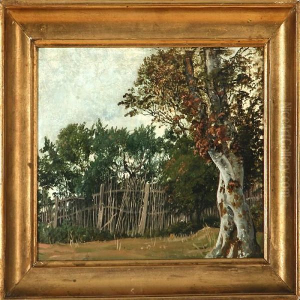 Landscape With An Old Fence Oil Painting by David Monies