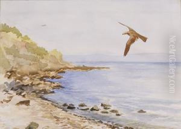 Veduta Costiera Con Volo Di Falco Oil Painting by Carlo Montani