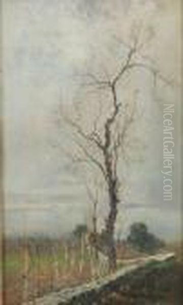 Muro Di Confinecon Albero Brullo Oil Painting by Edoardo Monteforte