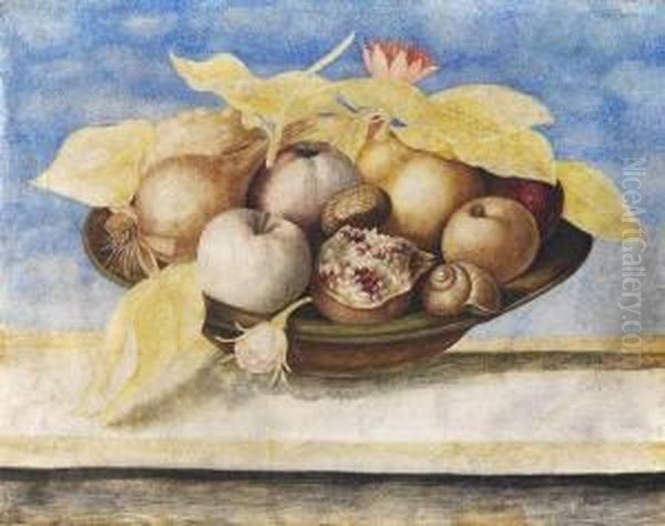 2 Arbeiten: Stillleben Mit Zitrusfruchten Und Granatapfel Oil Painting by Octavianus Montfort