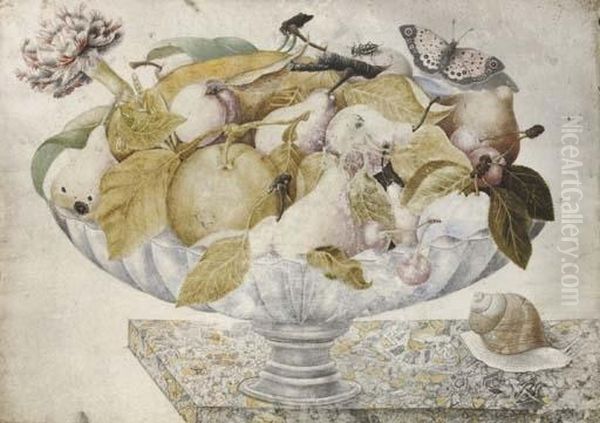 Still Life With Plums, Pears, 
Oranges, Carnations And Butterflies, In A Footed Bowl On A Marble Ledge Oil Painting by Octavianus Montfort