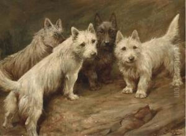 Four Cairn Terriers Oil Painting by Fannie Moody