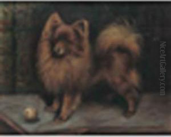 A Pomeranian Playing With A Ball Oil Painting by Fannie Moody