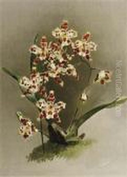 Reichenbachia: Orchids Illustrated And Described: Six Plates Oil Painting by Henry George Moon