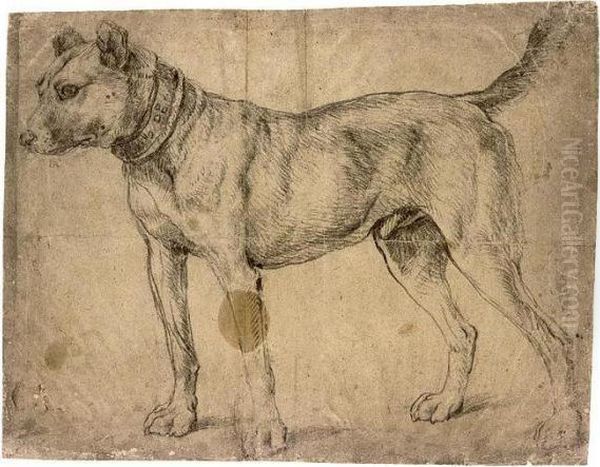 Study Of A Hound, In An Ornate Collar Oil Painting by Giacomo Antonio Moro