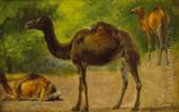 Camellos Oil Painting by Tomas Moragas y Torras