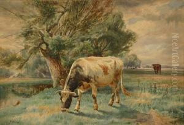 Cows Grazing In A Pasture Oil Painting by Peter Moran