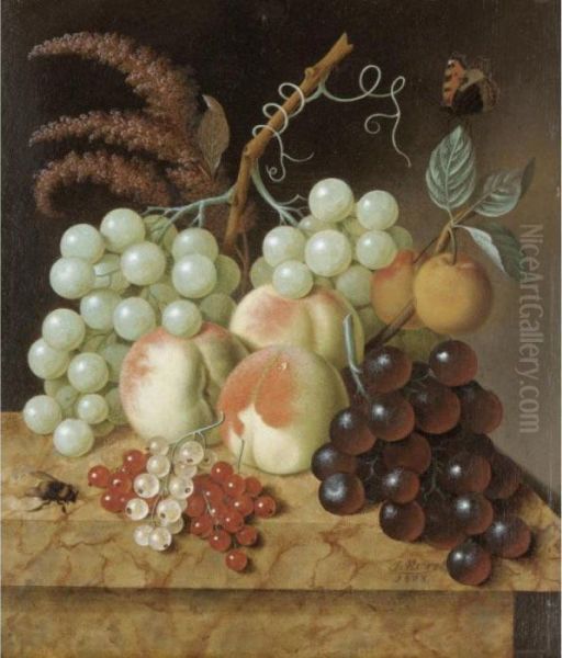 Still Life With Peaches, 
Apricots, Grapes, Berries, A Fly And A Butterfly On A Marble Ledge Oil Painting by Jan Evert Morel