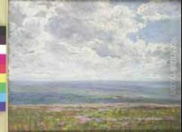 La Brughiera Dell'exmoor, Cornovaglia Oil Painting by Mario Moretti Foggia