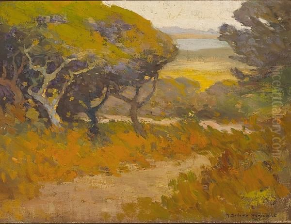 Trees Along A Path Near The Coast Oil Painting by Mary Deneale Morgan