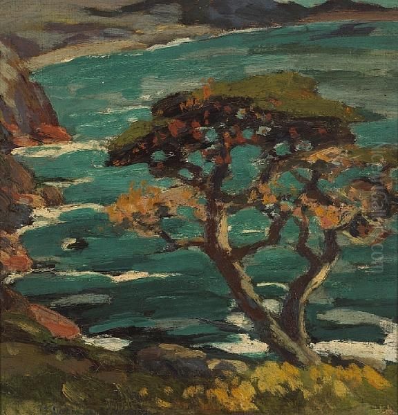 Seaside Cypress, Thought To Be Pointlobos Oil Painting by Mary Deneale Morgan