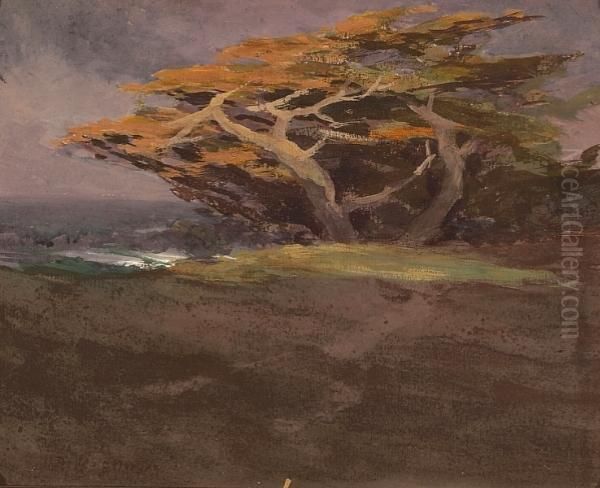 Windswept Monterey Cypress Oil Painting by Mary Deneale Morgan